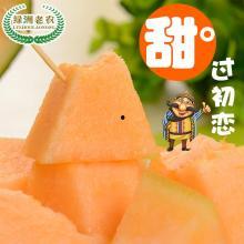 哈密瓜热门吗,夏日消暑佳品，热门水果新宠