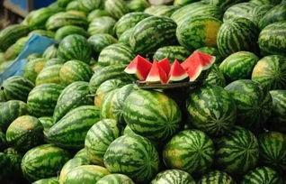 吃黑瓜不能和什么一起吃,揭秘不能与哪些食物同食