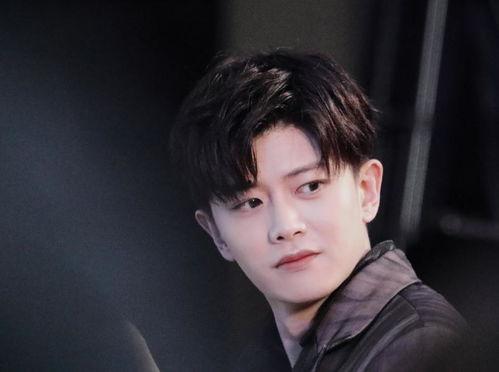 今日吃瓜罗晋任嘉伦,娱乐圈新动态引热议