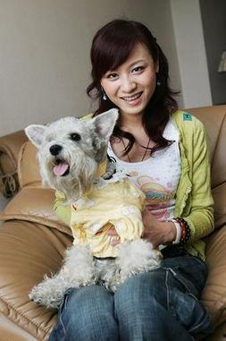 明星网红狗狗是谁,明星宠物的闪耀时刻