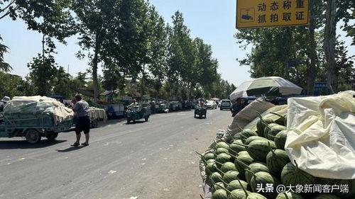 韩寺小吊瓜今日价钱,价格行情一览”