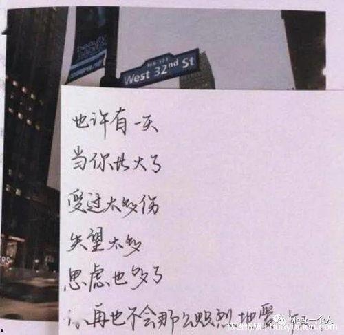 今日摘瓜文案短句怎么写,轻松捕捉夏日风情