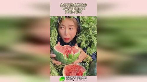 在瓜田里吃瓜真千金爆料,揭秘娱乐圈的惊人爆料