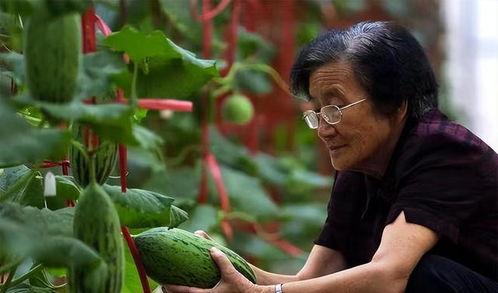 在瓜田里吃瓜真千金爆料,揭秘娱乐圈的惊人爆料