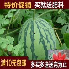 热门特效瓜,盘点年度热门创意短视频