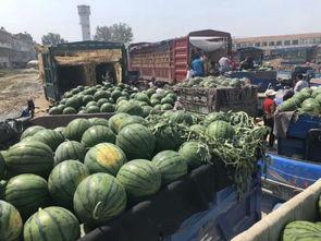 商丘市场今日瓜价行情,多品种瓜果价格平稳上涨