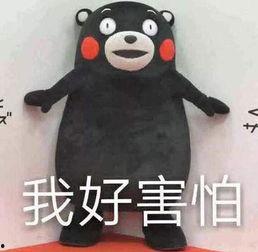 热门吃瓜事件盘点,娱乐圈风云再起，社会热点一网打尽