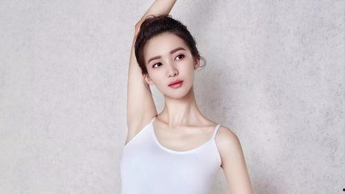 河北粉丝最多明星网红