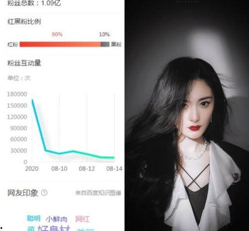 河北粉丝最多明星网红