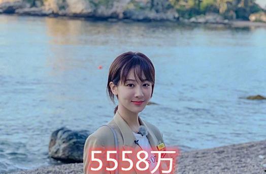 河北粉丝最多明星网红