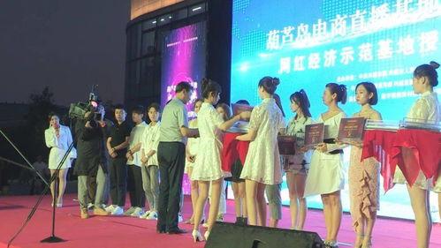 葫芦岛明星网红