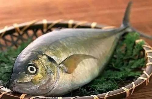 什么鱼吃黑蜜瓜最好呢,黑蜜瓜的美食伴侣