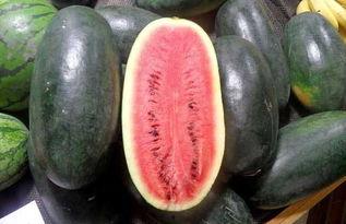 网红免费吃瓜黑料qq群