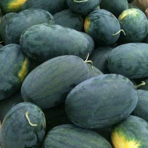 九月瓜黑籽可以吃吗图片,可食用之谜