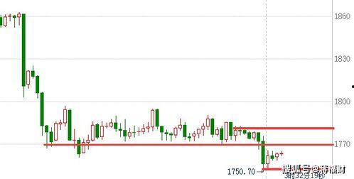 小吊瓜今日行情走势分析,今日走势深度解析