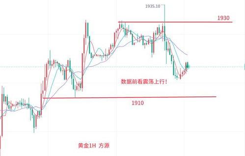 小吊瓜今日行情走势分析,今日走势深度解析