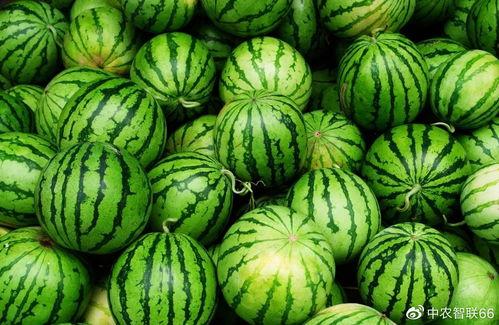 今日吃瓜51cg最快