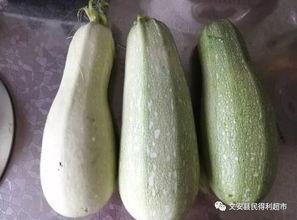 今日特价薄皮小吊瓜