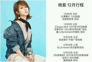 明星网红关注度问题