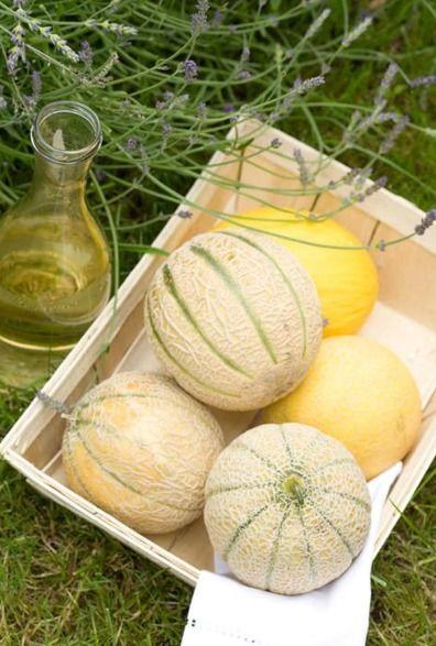 今日立秋吃秋瓜图片,探寻传统美食的秋日风情