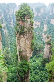 近期热门吃瓜事件张家界,揭秘近期热门吃瓜事件背后的真相