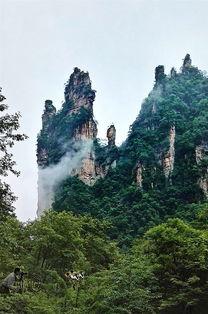 近期热门吃瓜事件张家界,揭秘近期热门吃瓜事件背后的真相