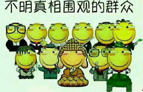 吃瓜热门往期内容,回顾往期精彩，揭秘娱乐圈幕后故事