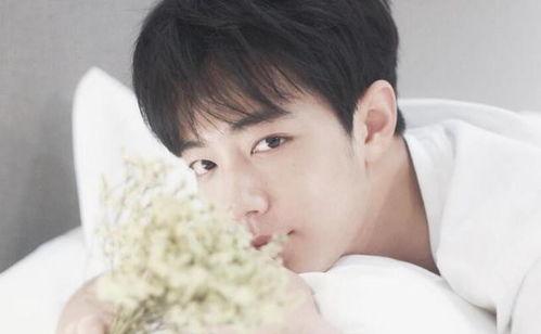 肖战吃黑瓜是什么,真相与争议的交织