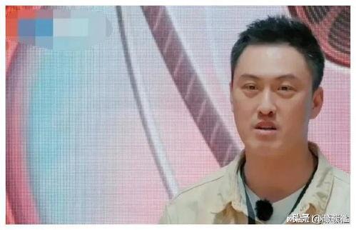 娱乐圈一直吃瓜的是谁啊,揭秘那些热衷于八卦的幕后推手