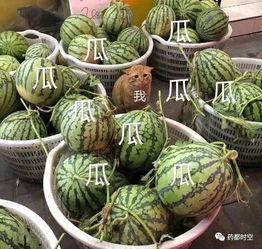 盘点热门瓜,揭秘娱乐圈、社会热点背后的真相