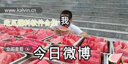 热门八卦瓜合集,热门八卦瓜合集深度解析