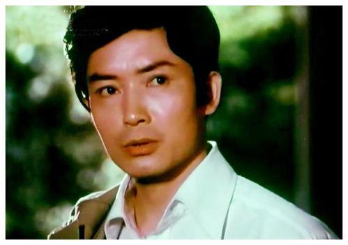 小眼男明星网红老婆,小眼男明星与网红老婆的爱情传奇