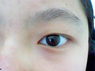 黑眉毛瓜多大可以吃,何时开始美味可口