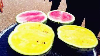 吃瓜爆料就看黑料社区入口,黑料社区入口大揭秘