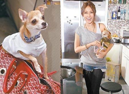 撞脸明星网红狗血,狗血剧情引网友热议