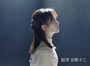 隆鼻明星网红有哪些,揭秘当红明星的美丽蜕变之路