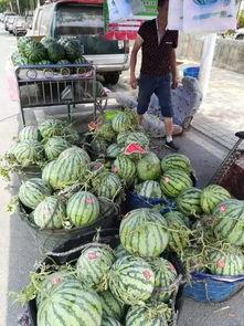 临沂热门吃瓜事件,揭秘近期热门吃瓜事件背后的真相