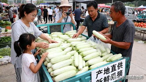 临沂热门吃瓜事件,揭秘近期热门吃瓜事件背后的真相