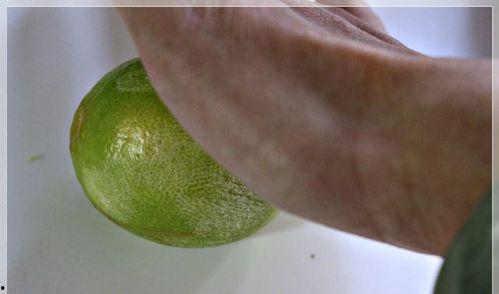 神经瓜上热门,揭秘大脑奥秘，探索神经科学前沿