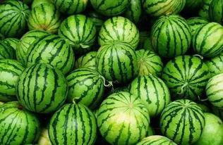 黑料吃瓜群密码