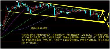 今日小瓜价位走势分析图,今日走势图深度解析