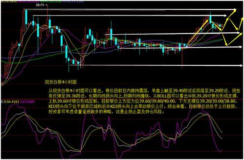 今日小瓜价位走势分析图,今日走势图深度解析