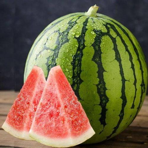 双福西瓜今日价格麒麟瓜,麒麟瓜价格走俏！”