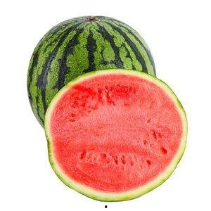 双福西瓜今日价格麒麟瓜,麒麟瓜价格走俏！”