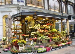 五一今日吃瓜-唐山花店,花团锦簇迎五一，浪漫氛围浓情满园