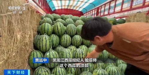 五一今日吃瓜-唐山花店,花团锦簇迎五一，浪漫氛围浓情满园