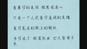 小瓜的热门歌曲大全,旋律动人，情感共鸣