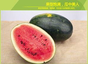 今日黑瓜吃料官网,揭秘今日热门资讯与独家解读