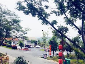 三瓜公社自由行热门攻略,解锁乡村田园新玩法