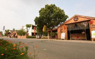 三瓜公社自由行热门攻略,解锁乡村田园新玩法